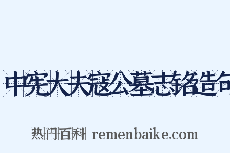 中宪大夫寇公墓志铭造句是什么意思的图片